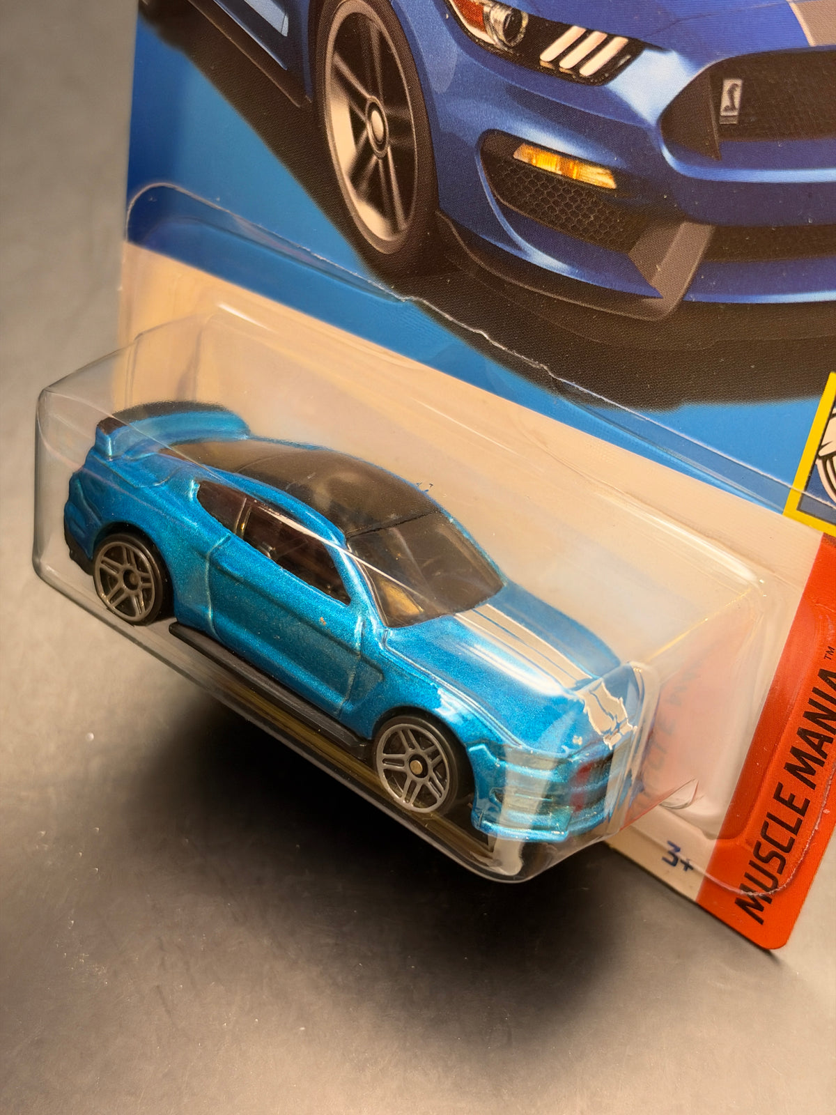 HOT WHEELS - FORD SHELBY GT350R (2022) - HW MUSCLE MANIA 9/10